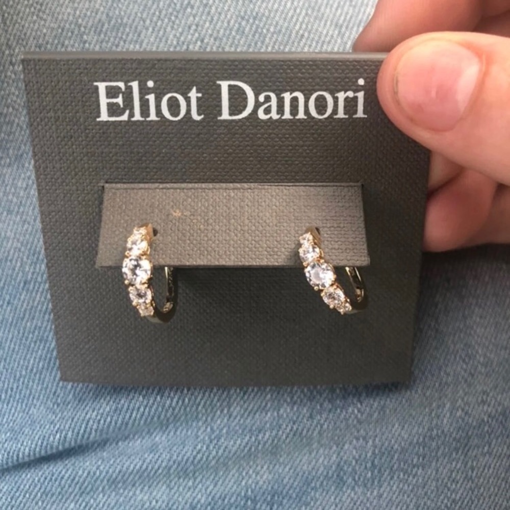 Eliot Danori earrings